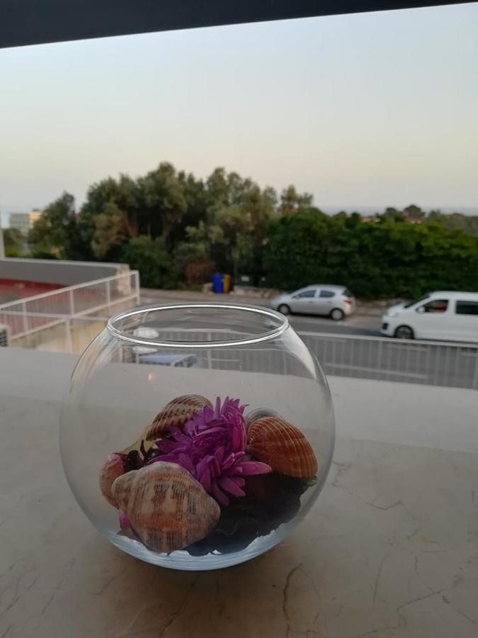 דירות דוברובניק Leut מראה חיצוני תמונה